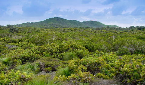Arakwal National Park - Accommodation Fremantle 1