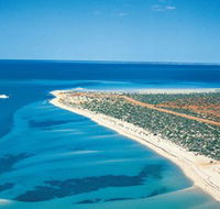 Monkey Mia - Accommodation Fremantle