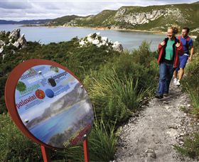 Rocky Cape National Park - Accommodation Fremantle 0
