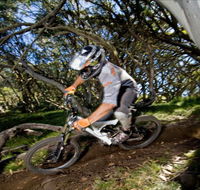 All Terrain Cycles - Accommodation Fremantle