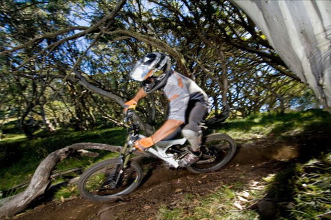All Terrain Cycles - Accommodation Fremantle 0