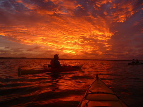 Canoe The Coorong - Accommodation Fremantle 6