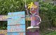 Vision Walks Eco Tours - thumb 28