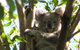Vision Walks Eco Tours - thumb 29