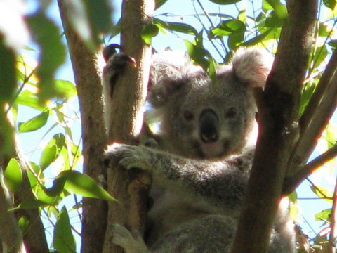 Vision Walks Eco Tours - Accommodation Fremantle 29