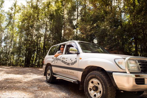 Tall Timbers Adventure Tours - Accommodation Fremantle 8