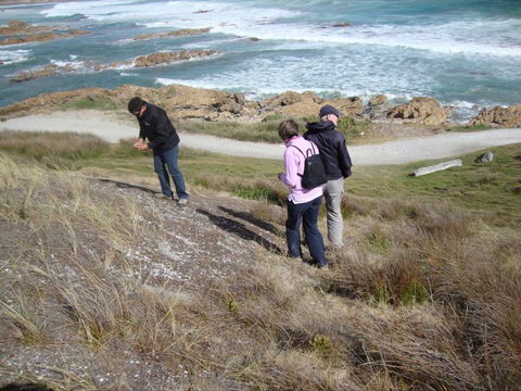 Tall Timbers Adventure Tours - Accommodation Fremantle 12