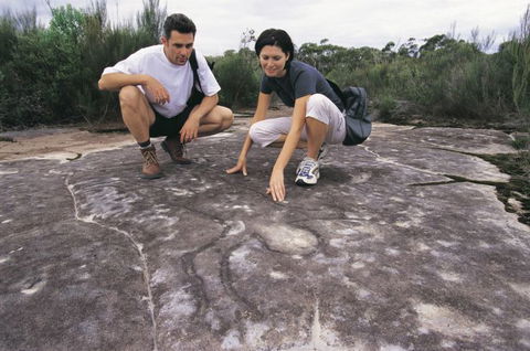Sydney Coast Walks - Accommodation Fremantle 2