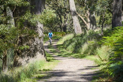 Fit Tours - Accommodation Fremantle 14