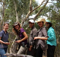 Echidna Walkabout Nature Tours - Accommodation Fremantle