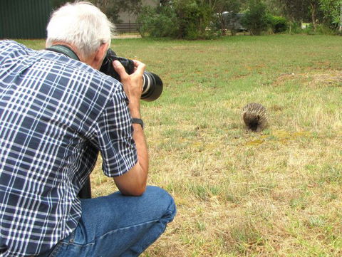 Echidna Walkabout Nature Tours - Accommodation Fremantle 8