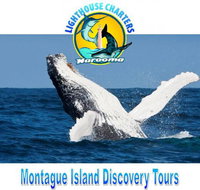 Lighthouse Charters Narooma - Accommodation Fremantle