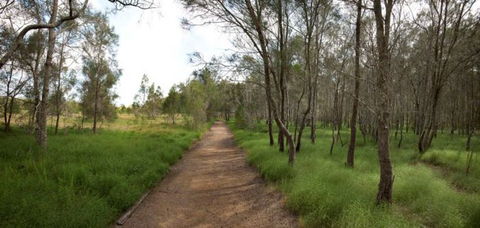Billai Dhagun Circuit (Place Of She-Oaks) - Accommodation Fremantle 0