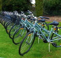 Barossa Bike  - Accommodation Fremantle
