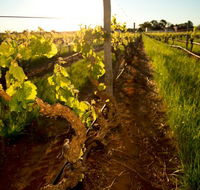 Kaesler Old Vine Vineyard Tour - Accommodation Fremantle
