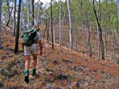 Shepherd's Peak Trail - Accommodation Fremantle 0