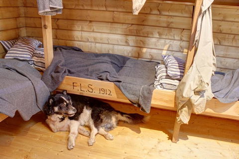 Mawson's Huts Replica Museum - Accommodation Fremantle 7