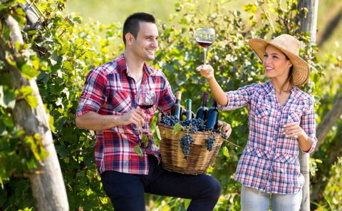 Two Tails Wines - Accommodation Fremantle 0