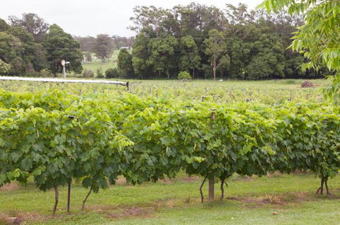 Two Tails Wines - Accommodation Fremantle 2