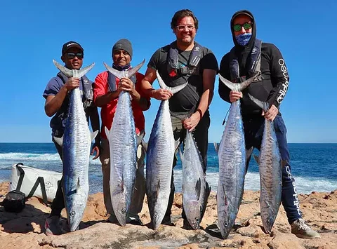 Perth Fishing Safaris - Accommodation Fremantle 1