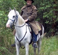 AAA Horse Riding  More