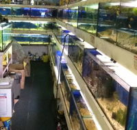 Clearwater Aquariums - Accommodation Fremantle