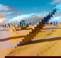 Pinnacles Desert Koalas and Sandboarding 4WD Day Tour from Perth - Accommodation Fremantle