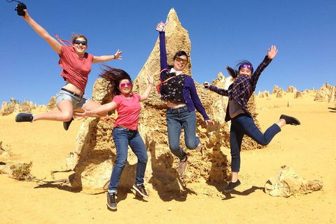 Pinnacles And Swan Valley Day Trip From Perth Including Caversham Wildlife Park, Vineyard Lunch, Pinnacles And Sandboarding - Accommodation Fremantle 0