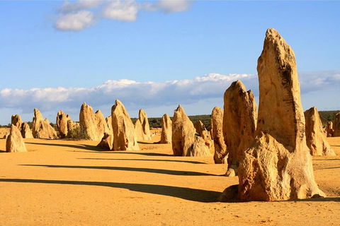 Pinnacles And Yanchep National Park Day Trip From Perth Including Lobster Shack Lunch And Sandboarding - Accommodation Fremantle 0