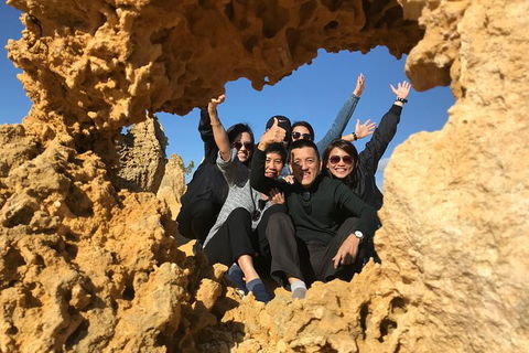 Pinnacles And Yanchep National Park Day Trip From Perth Including Lobster Shack Lunch And Sandboarding - Accommodation Fremantle 5