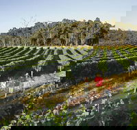 Margaret River Caves Wine and Cape Leeuwin Lighthouse Tour from Perth - Accommodation Fremantle