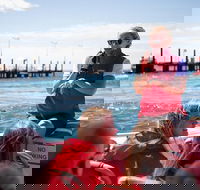 Rottnest Island Tour from Perth or Fremantle including Adventure Speed Boat Ride - Accommodation Fremantle