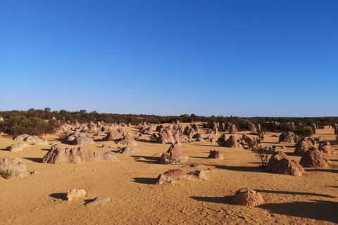 Pinnacles Day Trip From Perth Including Yanchep National Park - Accommodation Fremantle 6