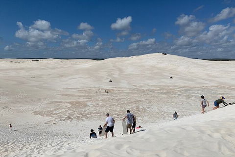 Pinnacles Day Trip From Perth Including Yanchep National Park - Accommodation Fremantle 3