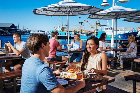 Full-Day Penguin Island & Fremantle Town - Accommodation Fremantle 7