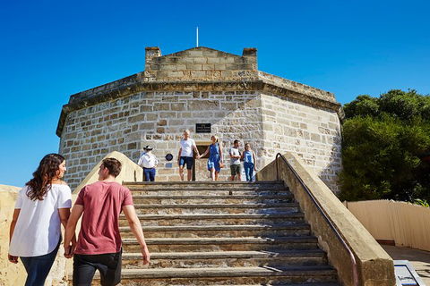 Full-Day Penguin Island & Fremantle Town - Accommodation Fremantle 4