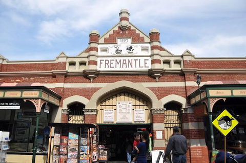 Full-Day Penguin Island & Fremantle Town - Accommodation Fremantle 8