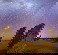 Pinnacles Sunset Dinner and Wildlife Experience a Small Group Tour - Accommodation Fremantle