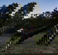 Stargazing Busselton with Mobile Observatory - Accommodation Fremantle