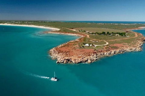 Snubfin Dolphin Eco Cruise From Broome - Accommodation Fremantle 7