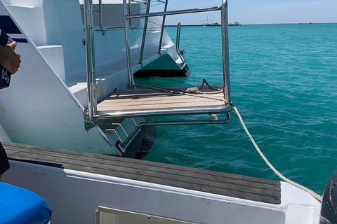 Snubfin Dolphin Eco Cruise From Broome - Accommodation Fremantle 15