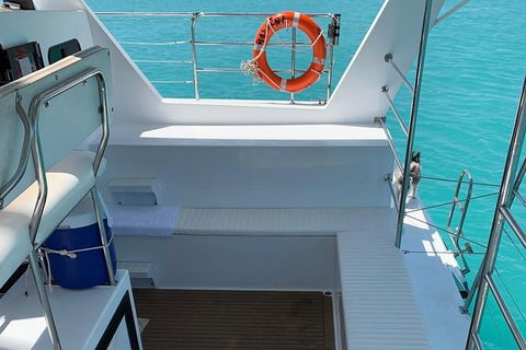 Snubfin Dolphin Eco Cruise From Broome - Accommodation Fremantle 14