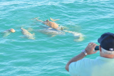 Snubfin Dolphin Eco Cruise From Broome - Accommodation Fremantle 3