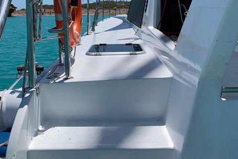 Snubfin Dolphin Eco Cruise From Broome - Accommodation Fremantle 13