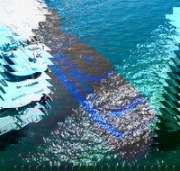 Rottnest Island Roundtrip Ferry from Perth with Transfer - Accommodation Fremantle