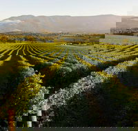 Half-Day Swan Valley Walk  Fruit Orchard - Accommodation Fremantle
