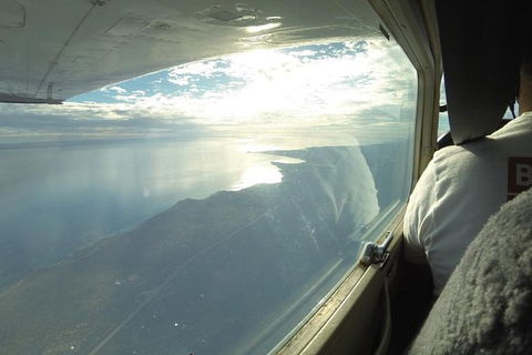 Monkey Mia Dolphins & Shark Bay Air Tour From Perth - Accommodation Fremantle 7