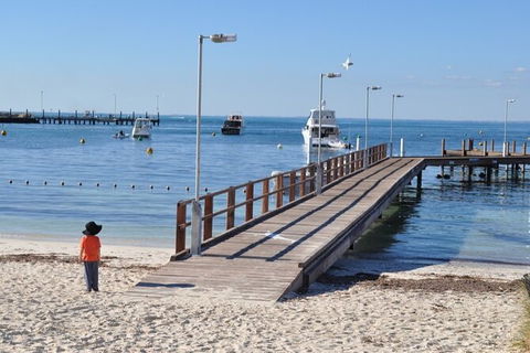 Monkey Mia Dolphins & Shark Bay Air Tour From Perth - Accommodation Fremantle 10