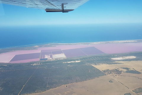 Monkey Mia Dolphins & Shark Bay Air Tour From Perth - Accommodation Fremantle 6