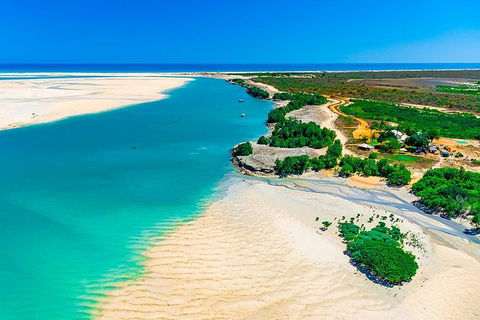 Willie Creek Pearl Farm Tour From Broome - Accommodation Fremantle 0